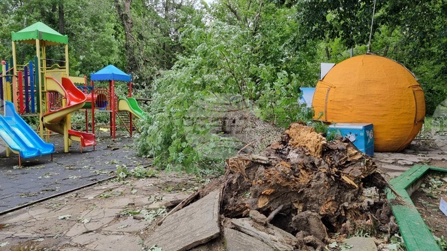 Търговище - буря - щети