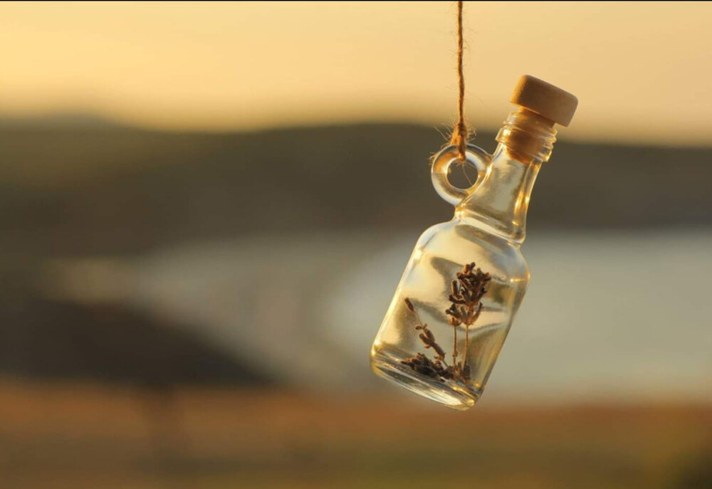 Министерството на туризма стартира кампания “Моето лято в България” 