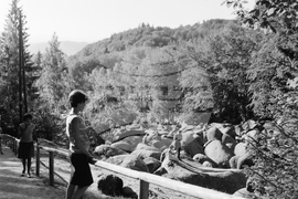 Разходка в Природен парк „Витоша“