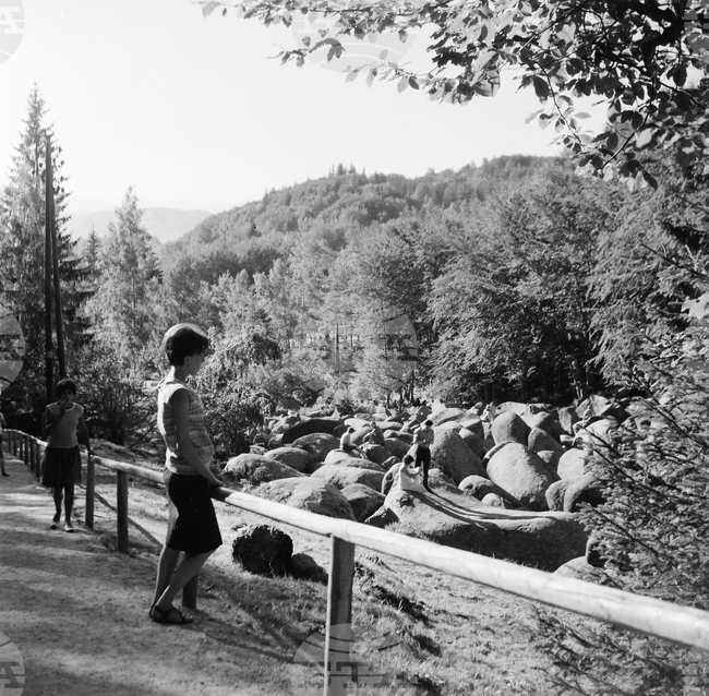 Разходка в Природен парк „Витоша“