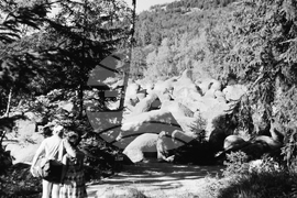 Разходка в Природен парк „Витоша“