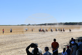 Завет - конни надбягвания