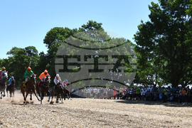 Завет - конни надбягвания