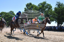 Завет - конни надбягвания