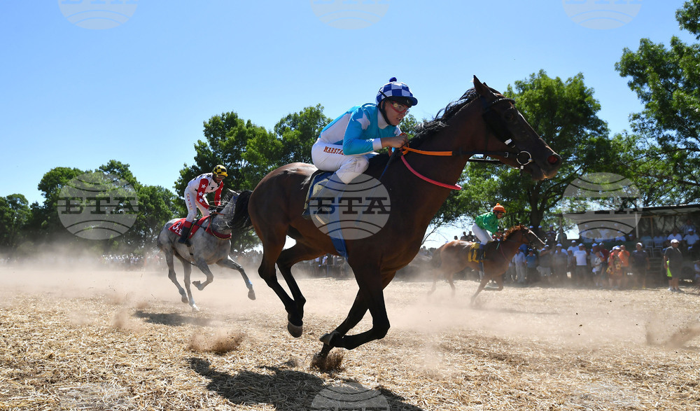 Завет - конни надбягвания