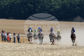 Завет - конни надбягвания