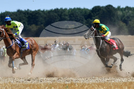 Завет - конни надбягвания