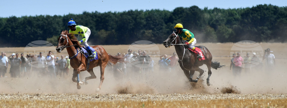 Завет - конни надбягвания