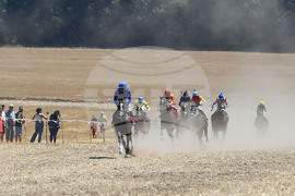 Завет - конни надбягвания