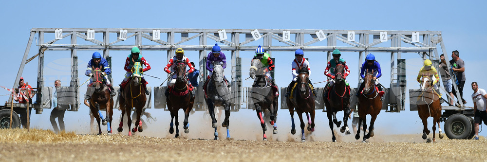 Завет - конни надбягвания