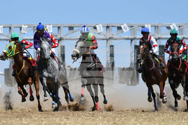 Завет - конни надбягвания