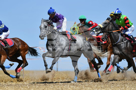 Завет - конни надбягвания