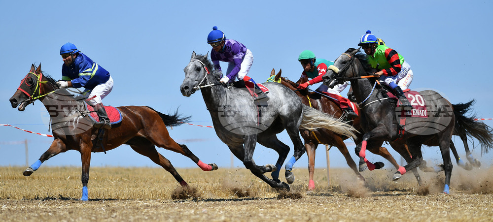 Завет - конни надбягвания