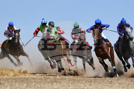 Завет - конни надбягвания