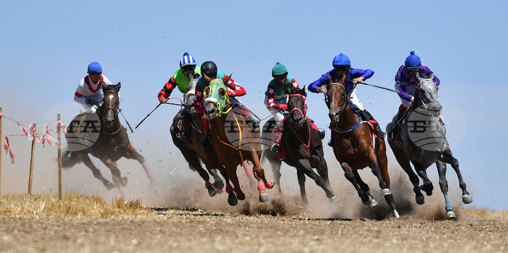 Завет - конни надбягвания