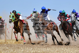 Завет - конни надбягвания