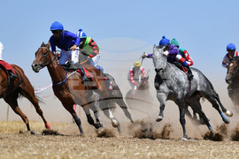 Завет - конни надбягвания