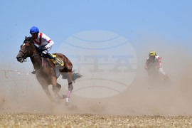 Завет - конни надбягвания