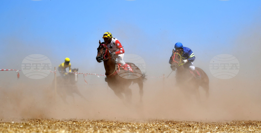 Завет - конни надбягвания