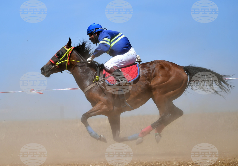 Завет - конни надбягвания
