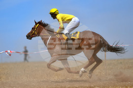 Завет - конни надбягвания