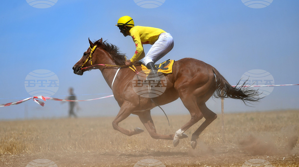 Завет - конни надбягвания