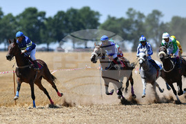 Завет - конни надбягвания