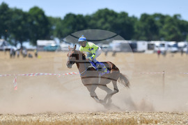 Завет - конни надбягвания