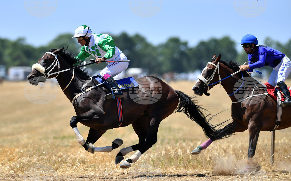 Завет - конни надбягвания