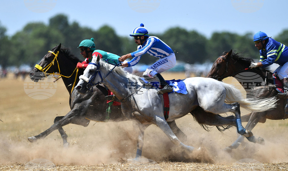 Завет - конни надбягвания