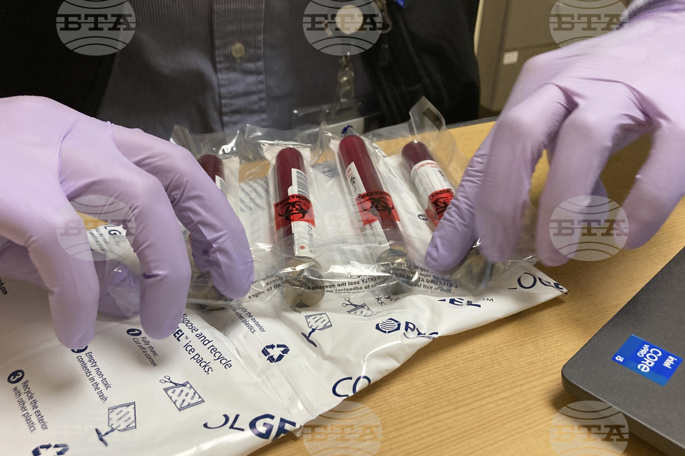 Учени изследват връзка между гъбичките и раковите заболявания при хората