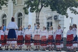 Видин - фолклорен празник - фестивал Дунавски вълни