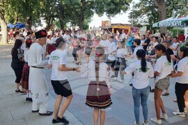Видин - фолклорен празник - фестивал Дунавски вълни