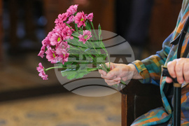 Анжел Вагенщайн - поклонение