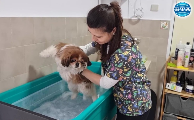 Животните ни учат на търпение, доброта и обич, казва ветеринарен лекар и зоофризьор от Разград