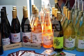Бургас - Wine and Spirits Fest Burgas