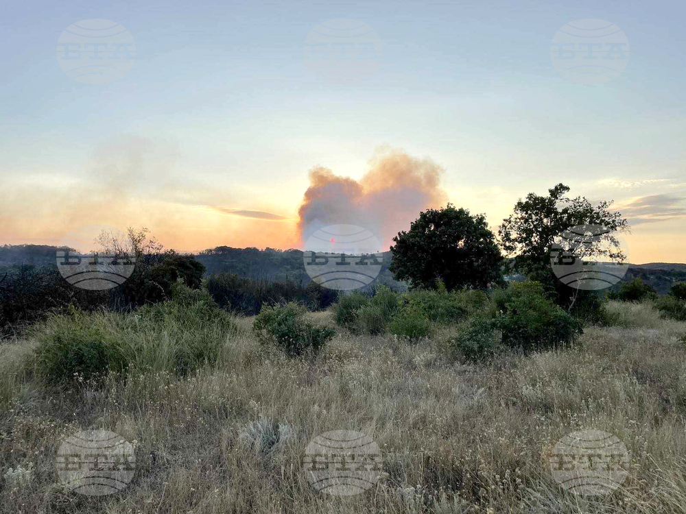 Ивайловград - Източни Родопи - пожар - гасене