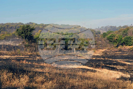 Ивайловград - Източни Родопи - пожар - гасене