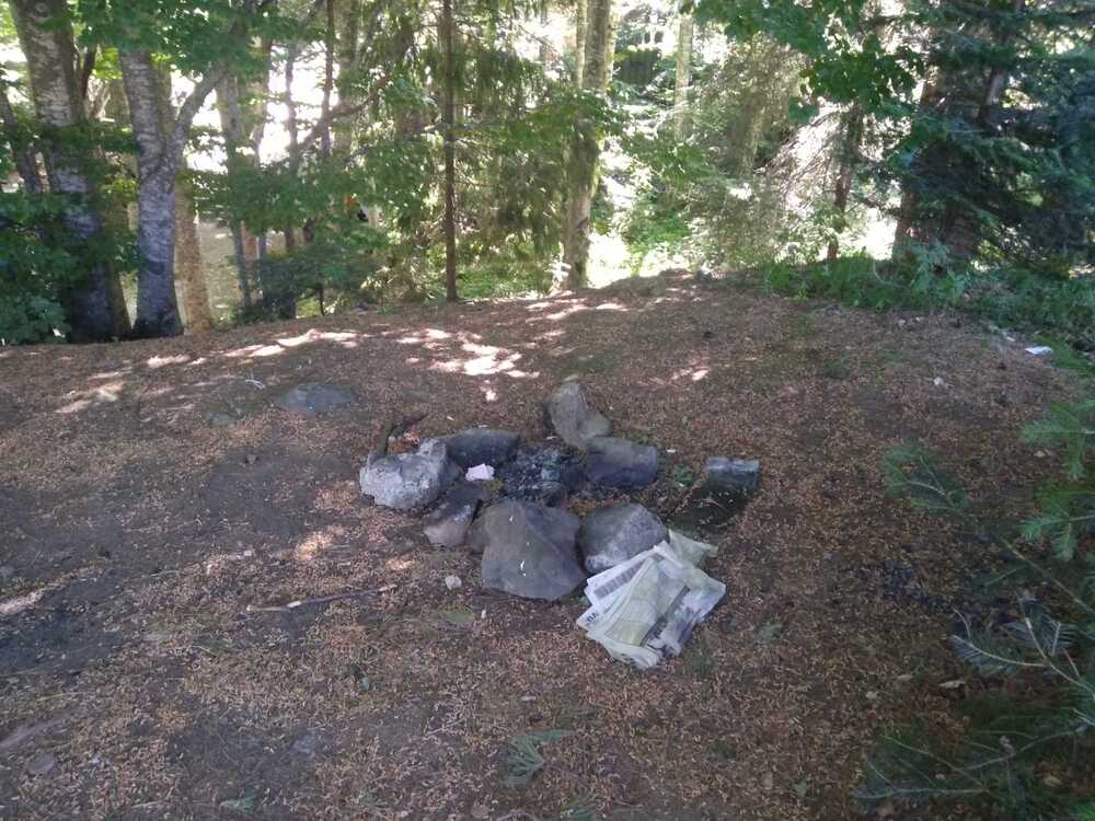 Изпълнителна агенция по горите: Екипите на регионалните дирекции по горите и дирекциите на природните паркове извършват масови проверки за паленето на огън в парковите територии