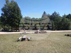 Снимка: Изпълнителна агенция по горите