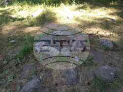 Снимка: Изпълнителна агенция по горите