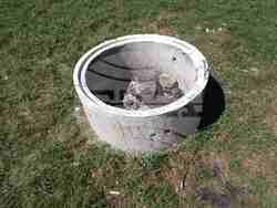 Снимка: Изпълнителна агенция по горите