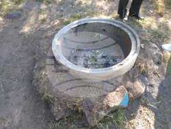 Снимка: Изпълнителна агенция по горите