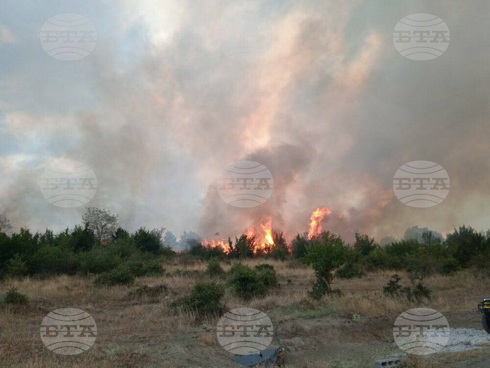 Bulgarian Forest Rangers Follow Progress of Wildfire across Border with Greece