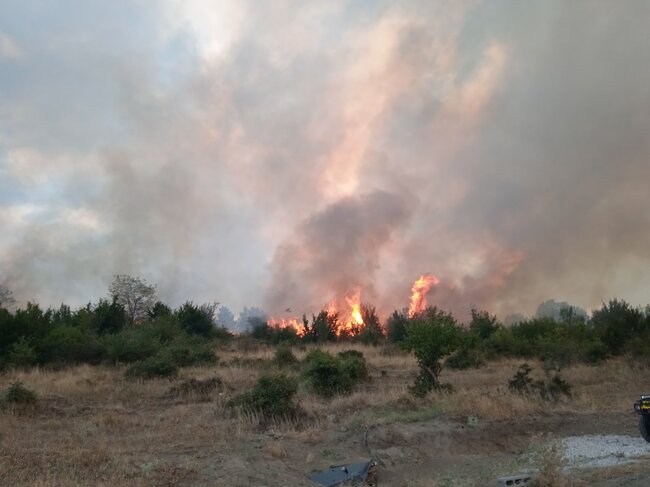 Изпълнителна агенция по горите: При забелязване на пожар в гората е необходимо незабавно да се подаде сигнал на телефон 112