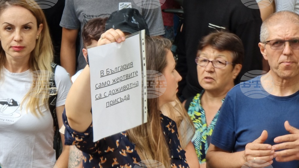 Добрич - протест срещу насилието