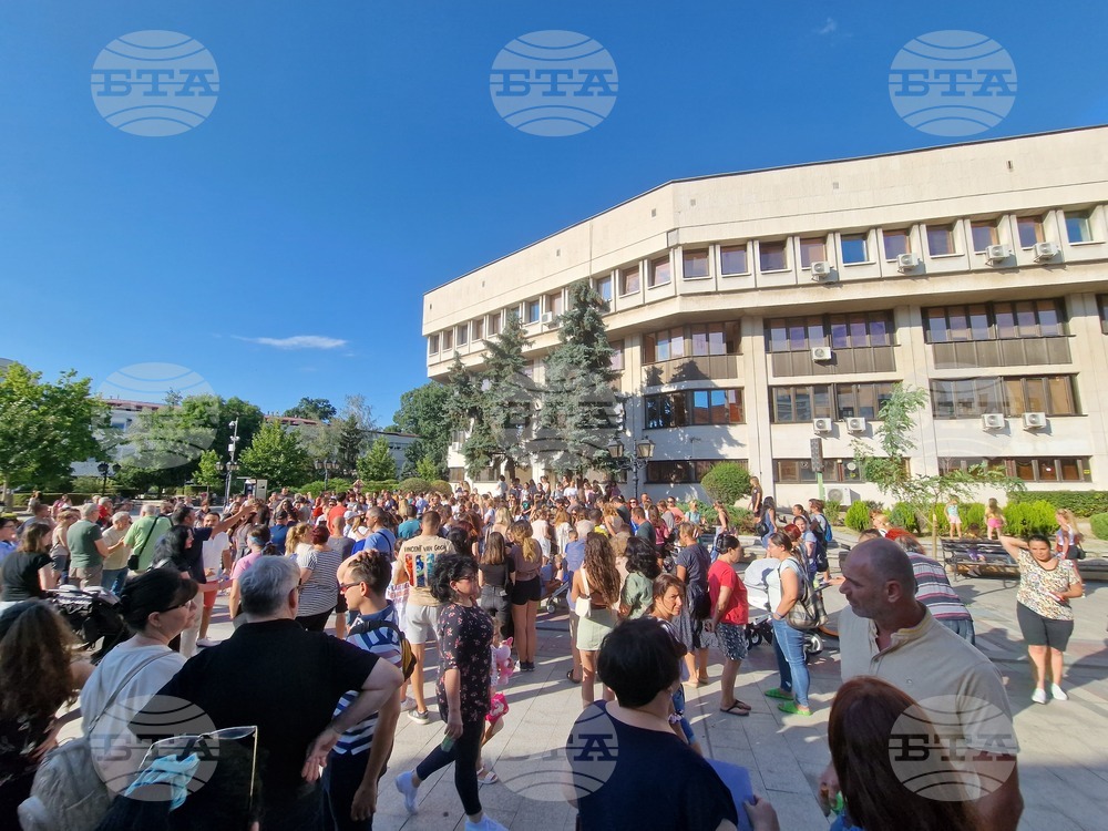 Видин - протест срещу насилието