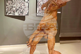 Черна гора - Златко Гламочак - изложба