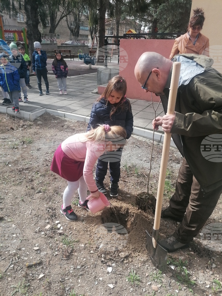 Малчугани залесиха фиданки в двора на детска градина в Разград