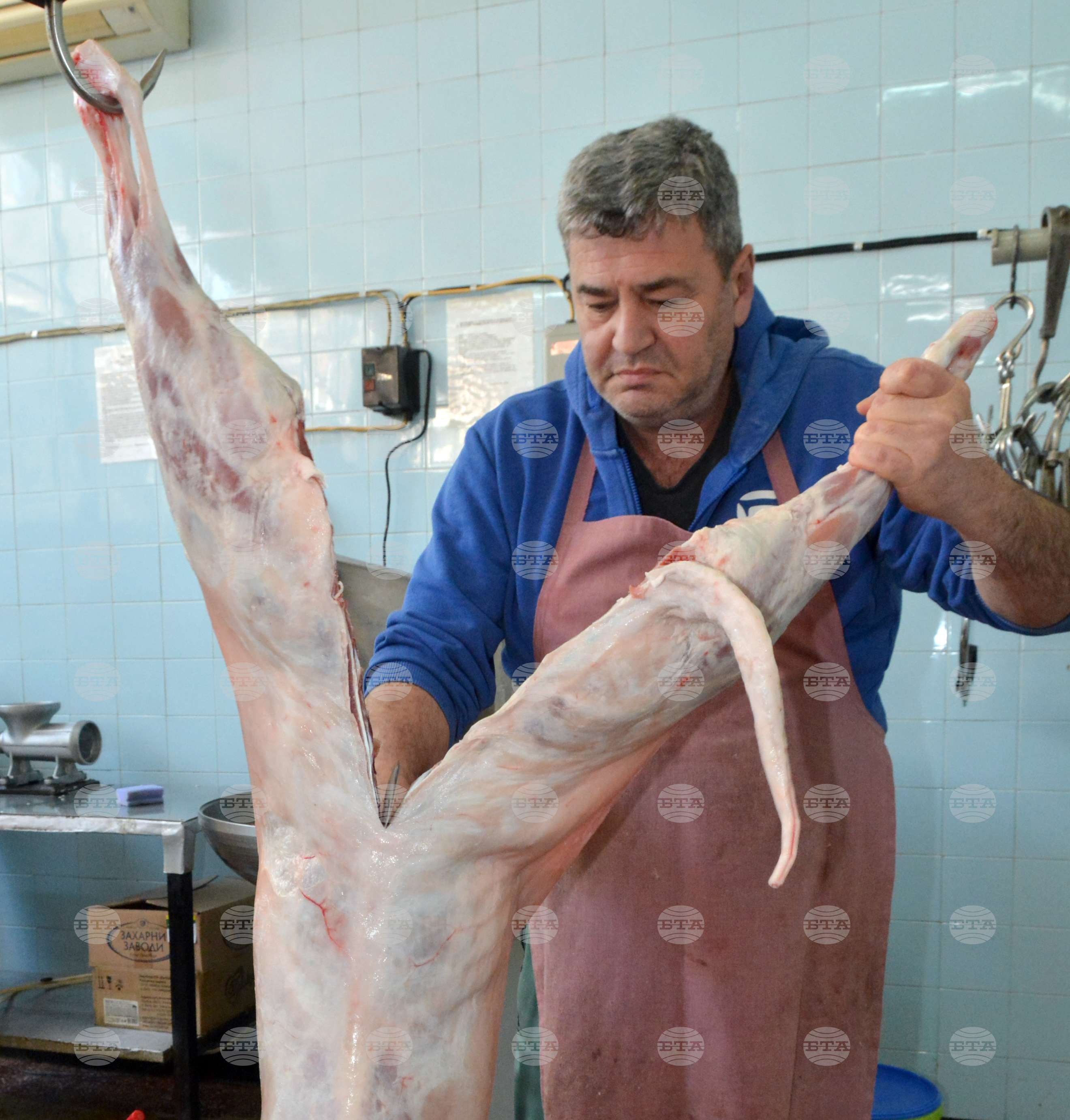 Хасково – агнешко месо